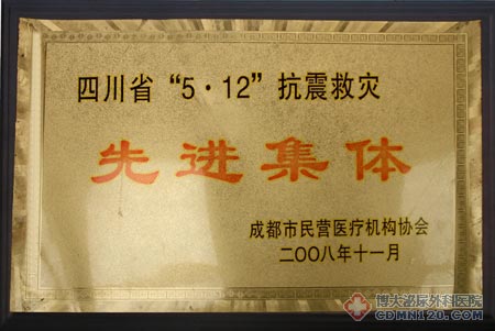 四川省\5.12\抗震救灾先进集体